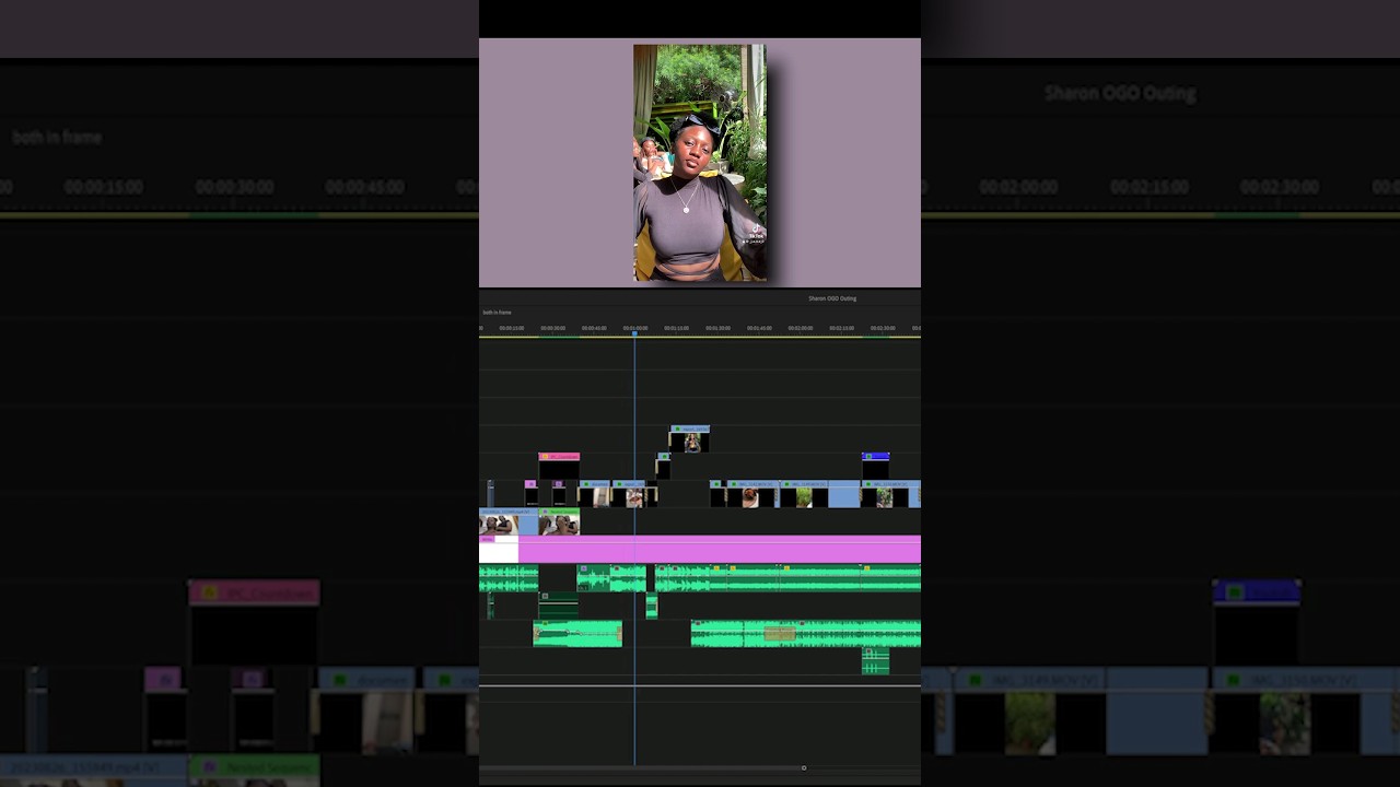 Timeline Breakdown @SharonsChronicles #editing #premierepro
