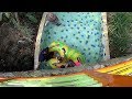 Little Green Water Slide at The Jungle Waterpark