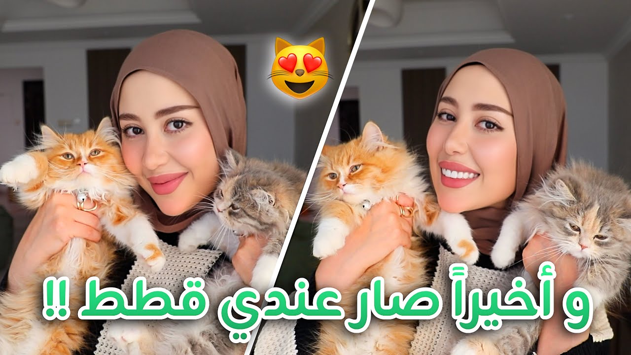 و أخيرا جبت قطط عندي بالبيت !! تعالوا اعرفكم عليهم 😻❤️