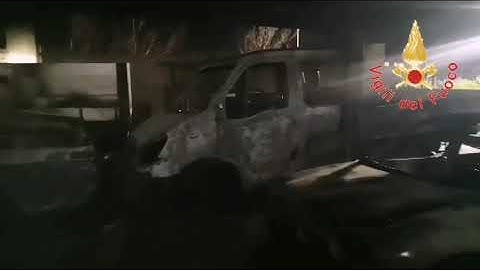 WhatsApp Video 2024 02 28 at 08 04 04 1