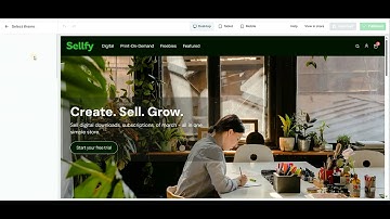 Sellfy basics: How to customize your store