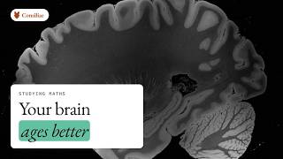 What learning maths does to your brain