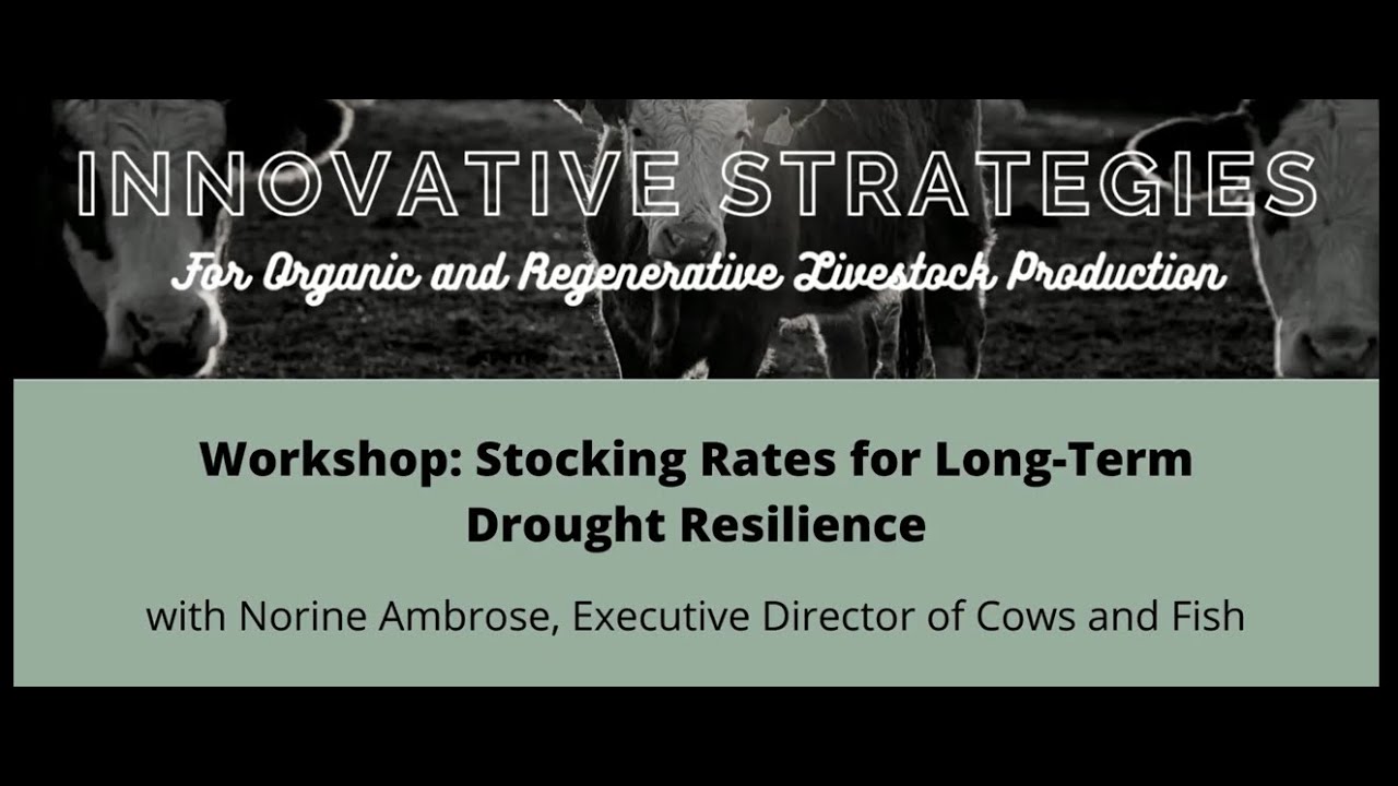 Stocking Rates for Long Term Drought Resilience - YouTube