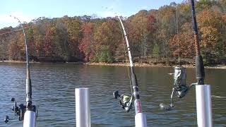 Ugly Stik Catfish Spinning Combo