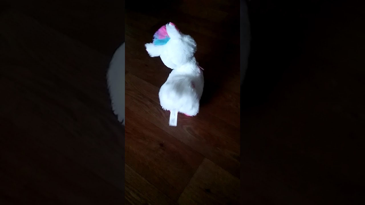 Booty shaking llama vs Betty the rabbit - YouTube