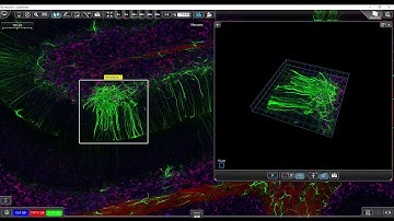 3DHISTECH - 3DPeek in SlideViewer
