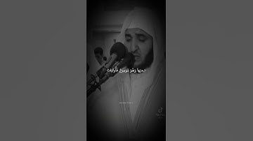 القارئ عبد البديع محمد غيلان أرح سمعك وقلبك راحة نفسية حالات واتس 💙🎧