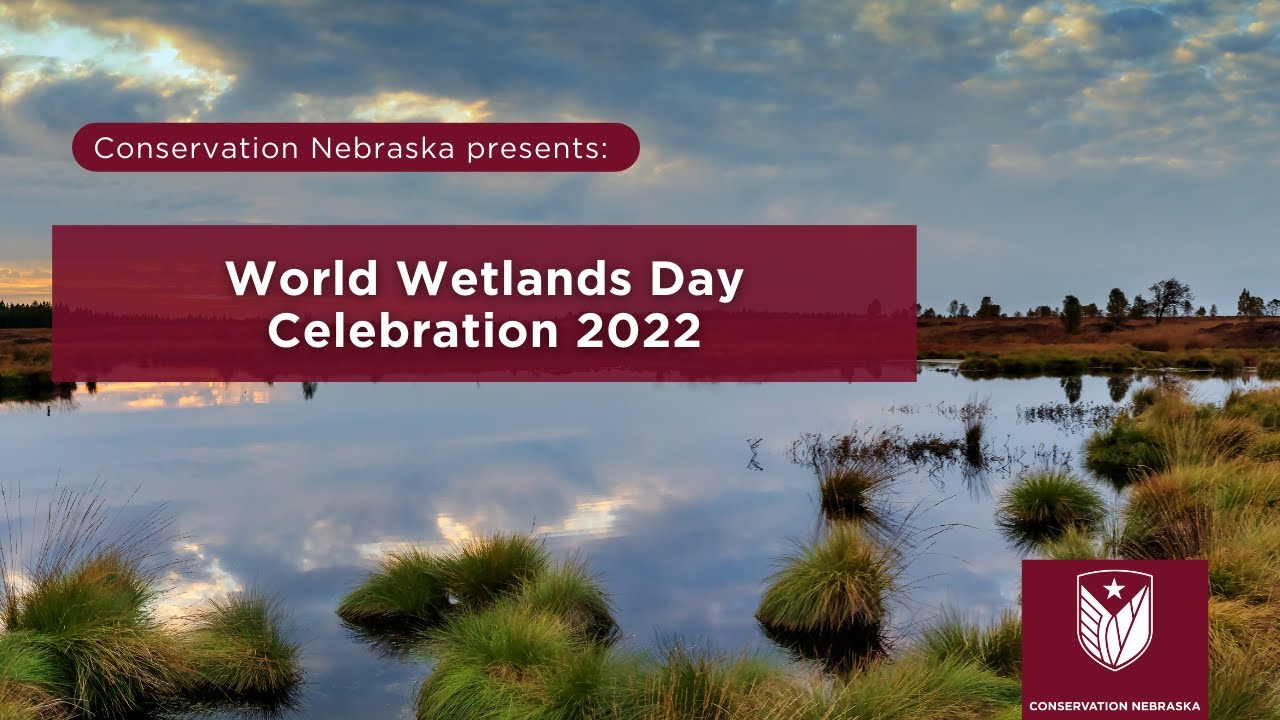 World Wetland's Day Celebration 2022 - YouTube