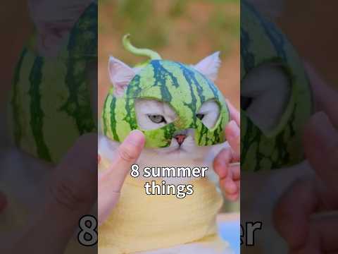 8 Summer Cat