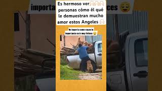 Qué bello Jesu #shortvideo #amor #diosonrio #palabradios #biblia #diosesmicasa #shorts #viral #perro