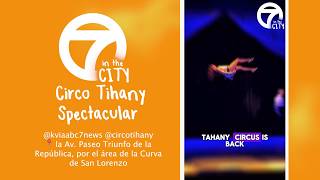7 in the City: Circo Tihany Spectacular