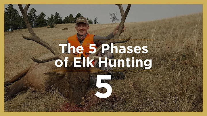 LATE SEASON | The 5 Phases of Elk Hunting