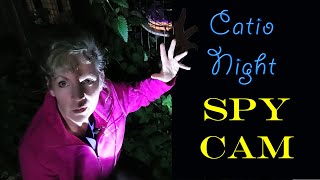 Catio SPY Cam - What goes Bump in the night 🌛 by Our Catio Home 245 views 3 months ago 2 minutes, 26 seconds
