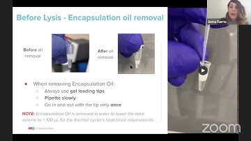 Tapestri workflow part 1: encapsulation, barcoding, and thermal cycling