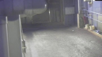 view Panasonic IP cameras using IPCamSoft app