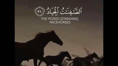 ووهبنا لداوود سليمان|| القارئ إسلام صبحي||سورة ص