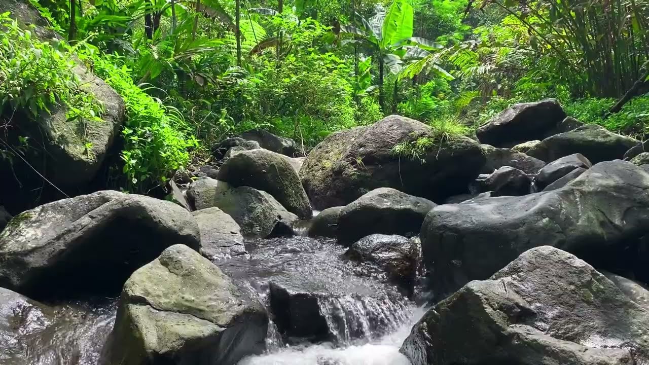 Regardez Calm the Storm Inside | Peaceful River Flow for Sleep & Serenity sur YouTube Regardez Calm the Storm Inside | Peaceful River Flow for Sleep & Serenity sur YouTube