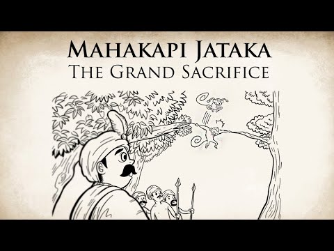 Vídeo: A que as histórias de Jataka estão relacionadas?