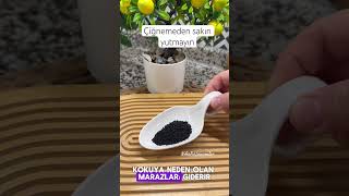 Çiğnemeden Sakın Yutmayın