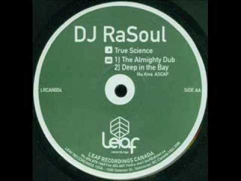 DJ RaSoul - True Science