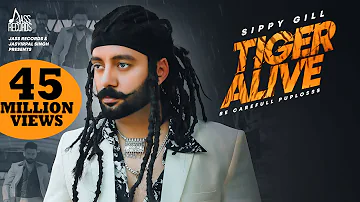 Tiger Alive | ( Full HD) | Sippy Gill | Western Pendu | New Punjabi Songs 2019 | Jass Records