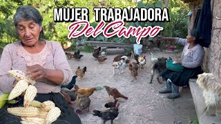 Así vive una mujer trabajadora del campo⛏️🥔🥣🐑🐓🐦🍲🌳🐄