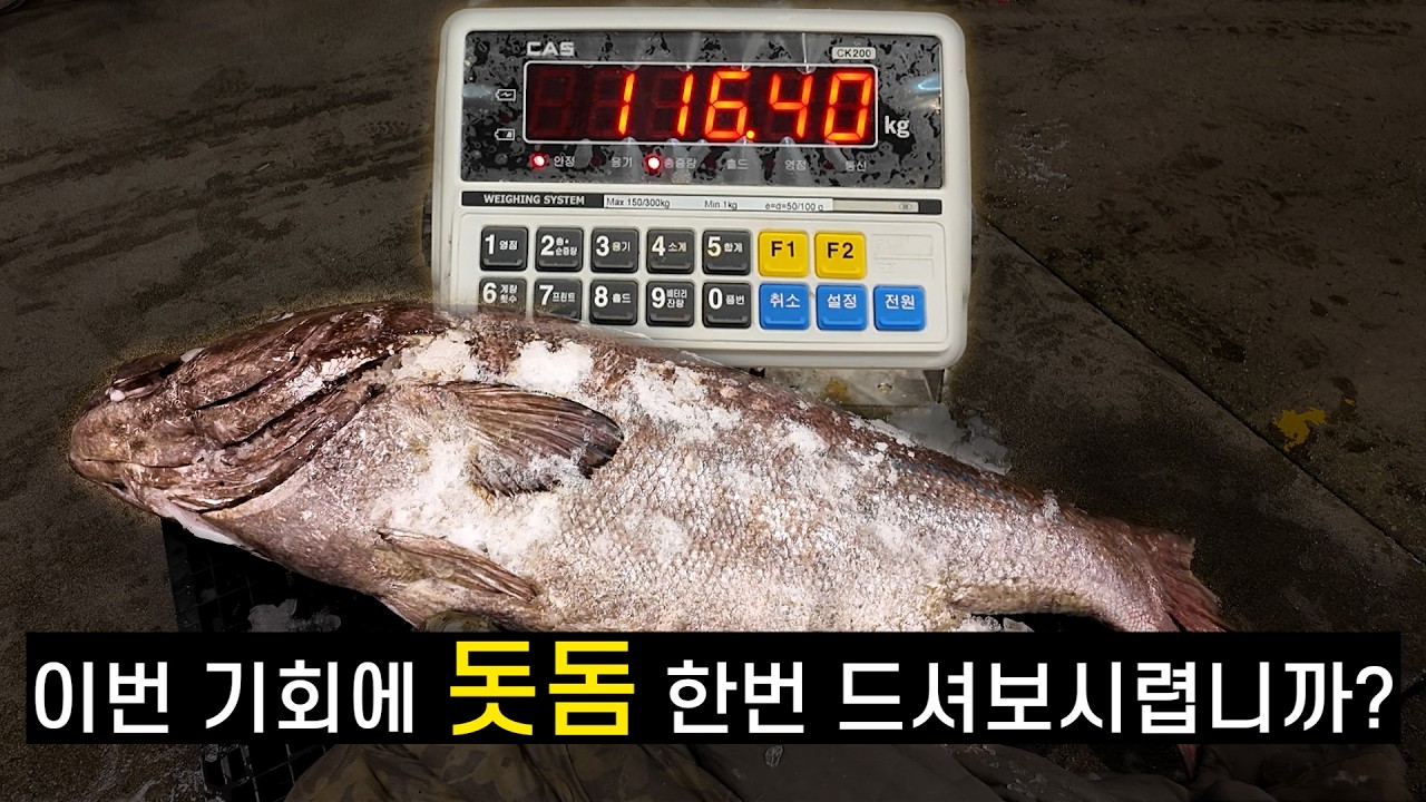 돗돔 한마리 저렴하게 가져와봤습니다만...ㅠㅠ - YouTube
