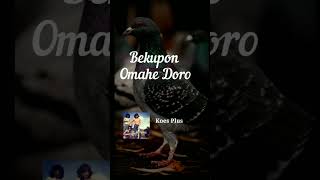 Bekupon Omahe Doro - Koes Plus cover Kusdi Harja  #shortscover