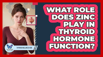 What Role Does Zinc Play In Thyroid Hormone Function?