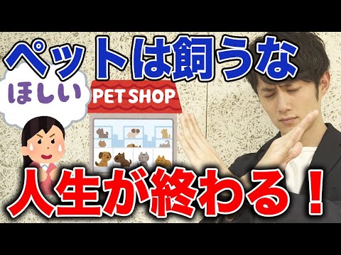 シェルターペットの真実：5つの誤解をデータで完全解説