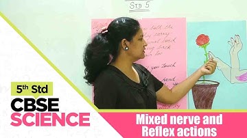 5th Std CBSE Science Syllabus | Mixed nerve and Reflex actions | CBSE Syllabus Part -40