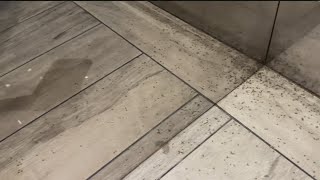 'It's inhumane' | Buckhead residents frustrated after building infested with gnats