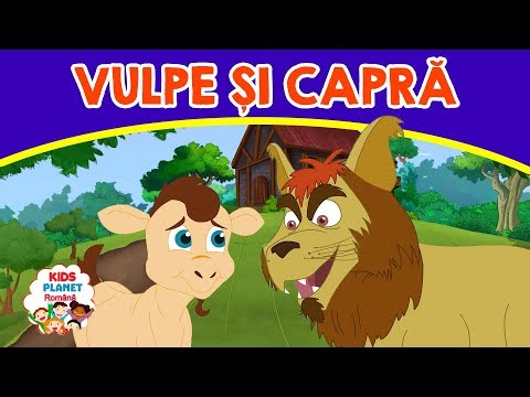 Video: Ar lua o vulpe o capră pigmee?