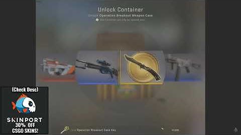 3000$ case  breakout weapon case cs go knife