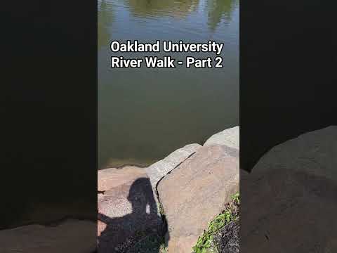 Oakland University River Walk - Part 2 #shorts