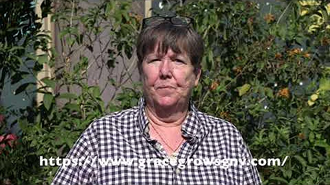 Board Member, Helen Strain, Holiday Giving for Gra...