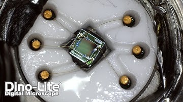 The Best Industrial Microscope Images Taken with Dino-Lite