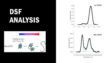 Some Assembly Required - A case study on the importance of diverse voices in science