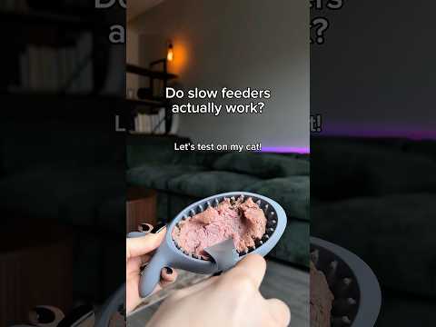 Do Slow Feeders