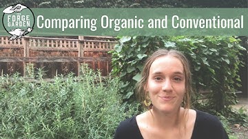 Comparing Conventional and Organic Agriculture