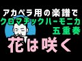 【アカペラ用の楽譜で、クロマチックハーモニカ五重奏♪】花は咲く♪