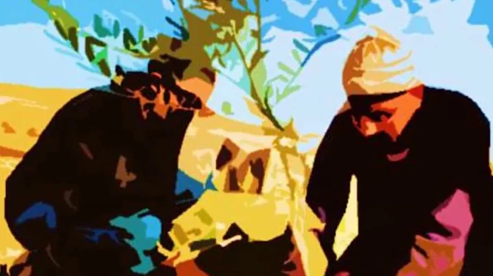 Imad Saleh and his Orchestra: The forest of olive ...