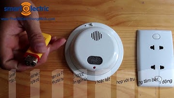 Cảm biến lửa FS-1000E