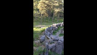 The Druid's Temple