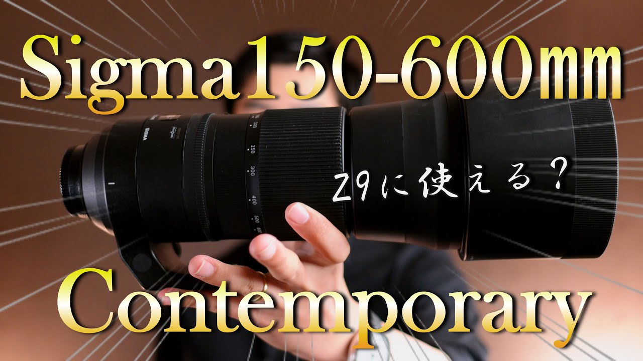 sigma 150-600㎜ contemporary Nikon