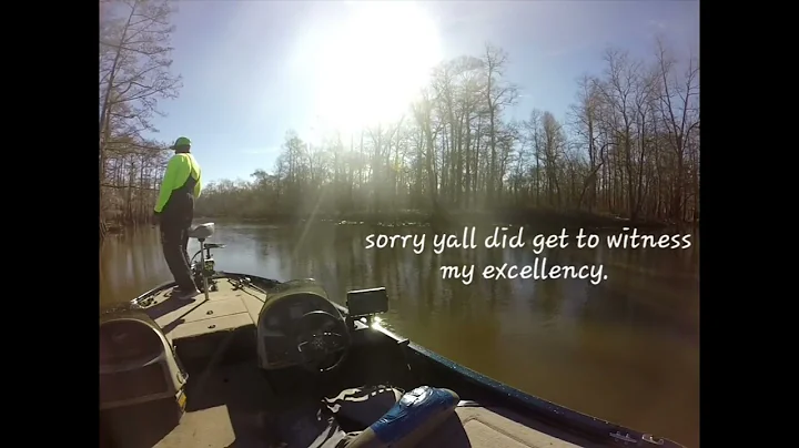 Atchafalya Basin  Bayou Pigeon,  Louisiana
