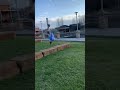 Insane flip off rock shorts flip