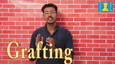 SCERT (Eng) Class 7 Basic Science Chapter 1 REAPING GOLD FROM SOIL" (Part: 1)by CODES BRAIN