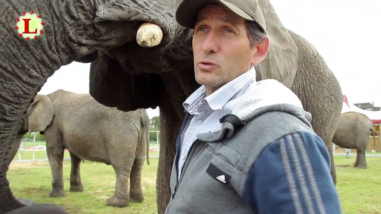 Tierhaltung im Circus Voyage (2)