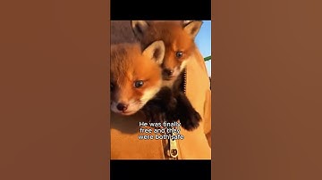 Ik had seconden om een ​​machine te stoppen... om twee kleine levens te redden.